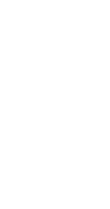 カキツバタのある部屋