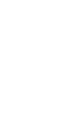 アオリイカリングのある部屋