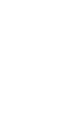 カリフラワーのある部屋