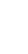 うどんのある部屋