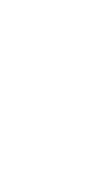 サトイモの葉のある部屋