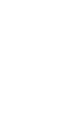 桜の花びらのある部屋