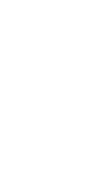 テッポウウオのある部屋